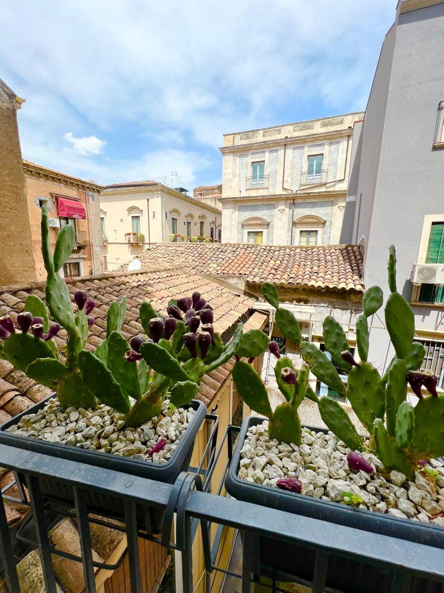 Erasmo 19 Luxury Home 卡塔尼亚 外观 照片